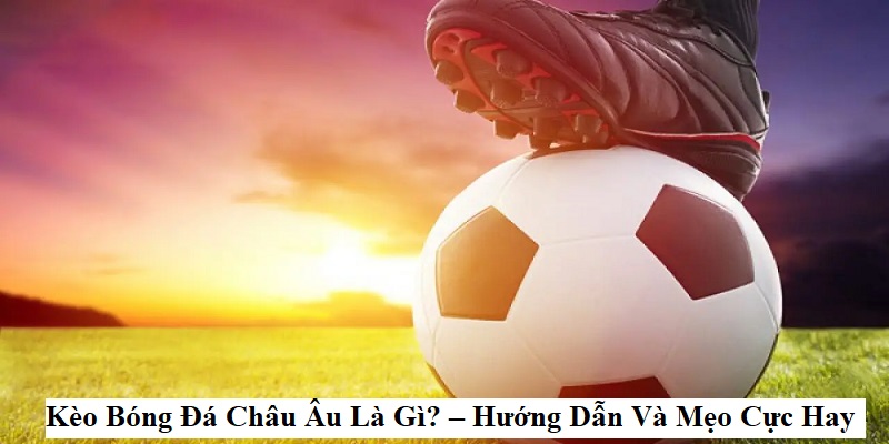 Bí kíp đánh kèo toàn thắng từ cao thủ